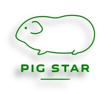 Питомник Морских Свинок PIG STAR, г. Самара